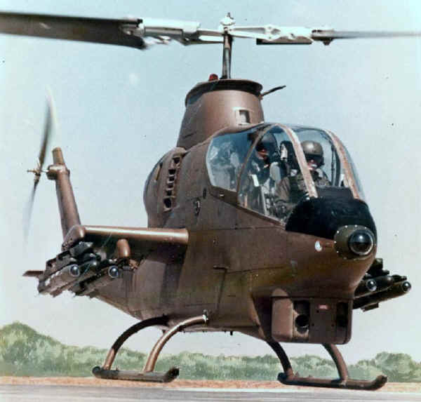cobra-front-on.jpg