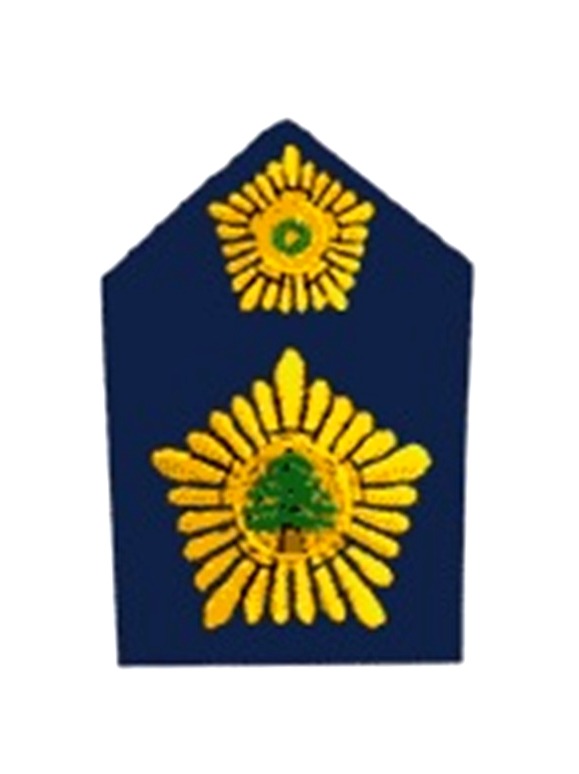 Lebanese-army-insignia-First-Adjutant.jpg