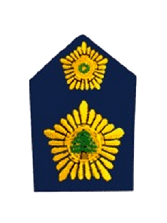 Lebanese-army-insignia-First-Adjutant.jpg