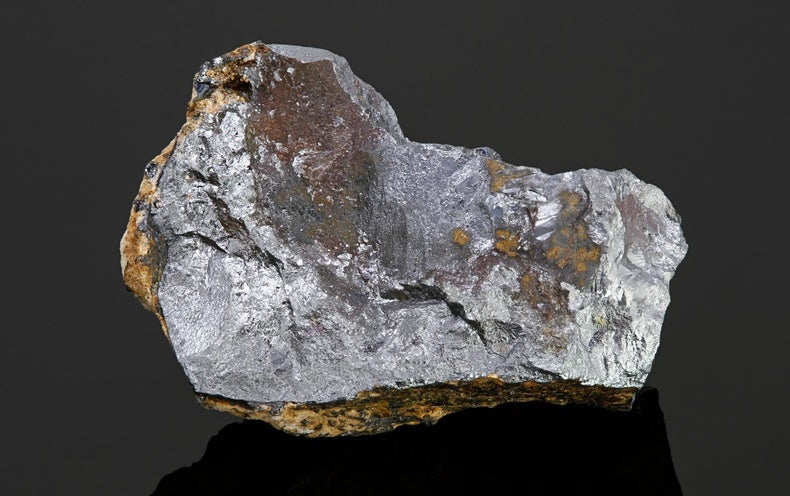 www.scientificamerican.com