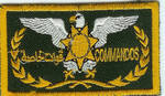 36th_Cdo_badge.jpg