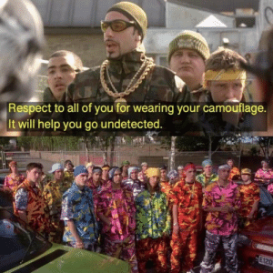 Respect to All of You for Wearing Your Camouflage It Will Help You Go  Undetected E120 Area 51 Tips! | Funny Meme on ME.ME