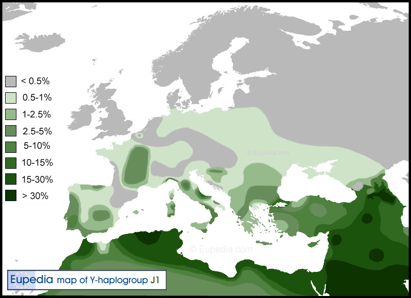 haplogroup-j1.gif