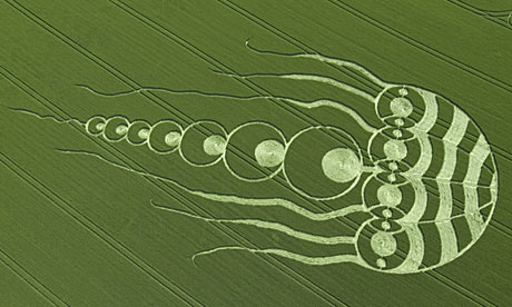 Crop-Circles-Jellyfish.jpg
