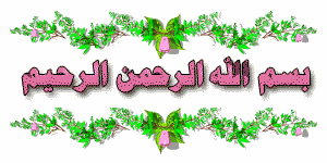 136026814511.gif