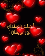 9bd1b5ec9d.gif