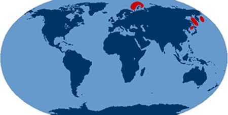 Russian_SSBN_patrol_areas_FAS_.jpg