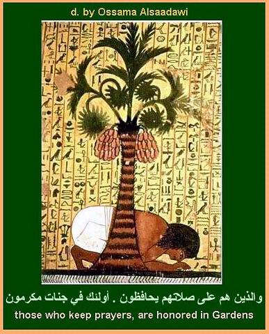 www.altaly3anews.com