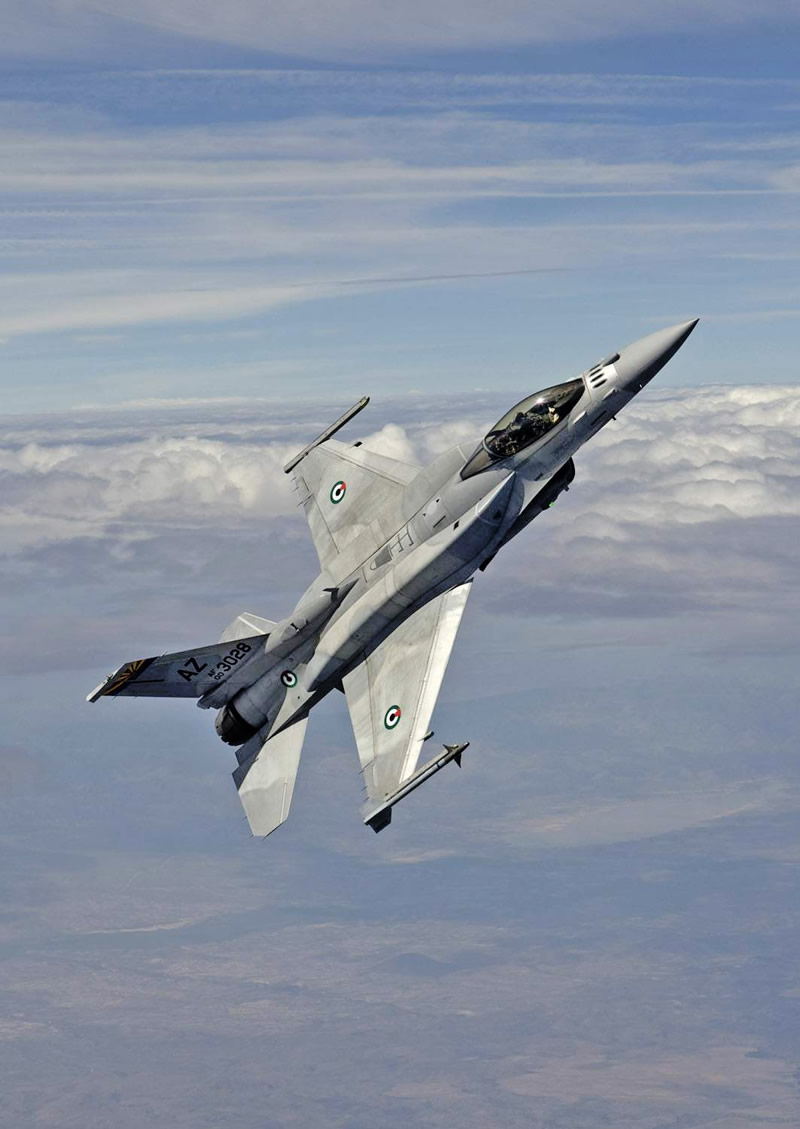 AIR_F-16E_Tucson_Training_Squadron_lg.jpg