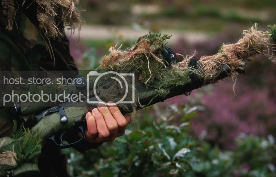 My_steyr.jpg