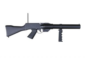 sar-2-alt.jpg