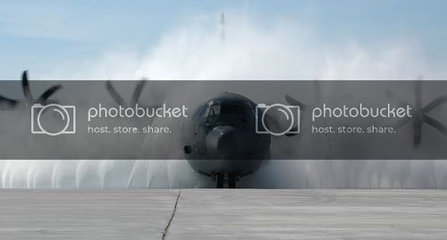 pla13.jpg