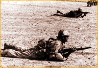 43421_36m.jpg