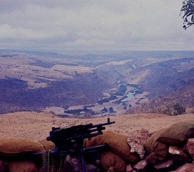 134994_1_1440172710.jpg