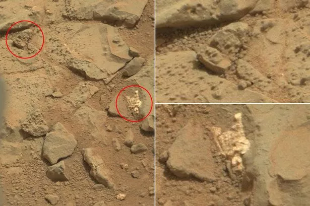 MAIN-Fossils-on-Mars.jpg