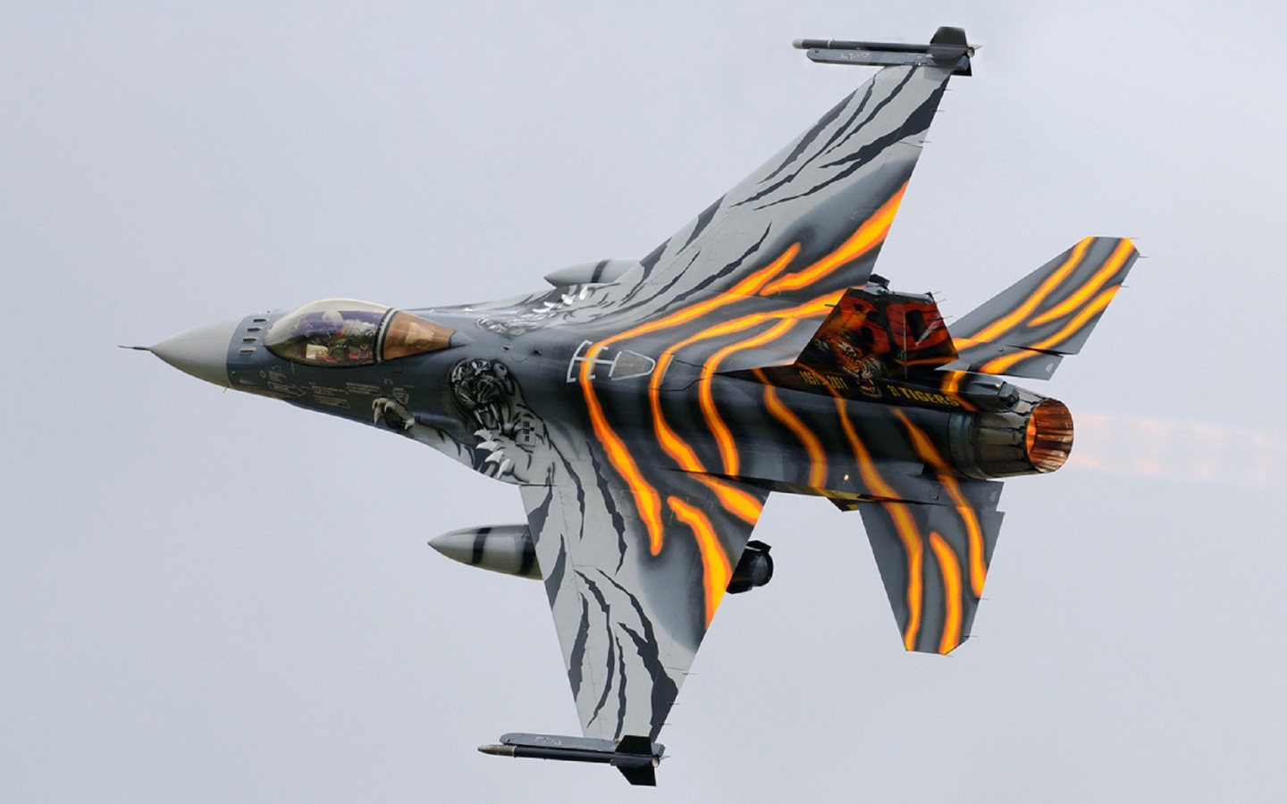 tiger_f_16_fighting_falcon-1440x900.jpg