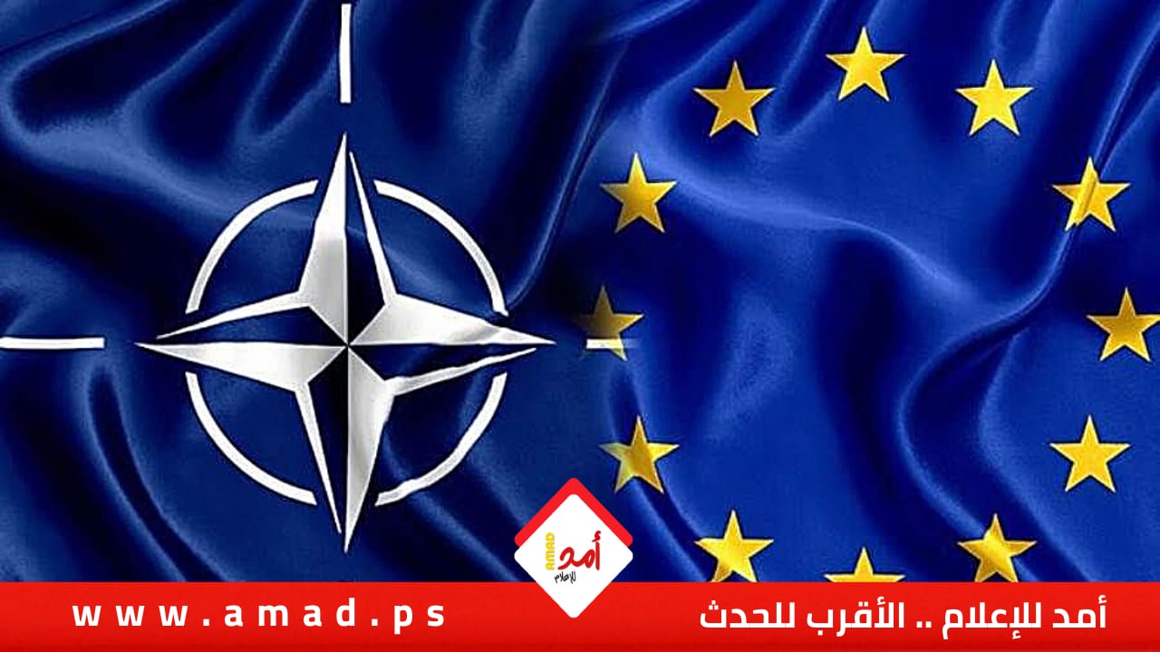www.amad.com.ps