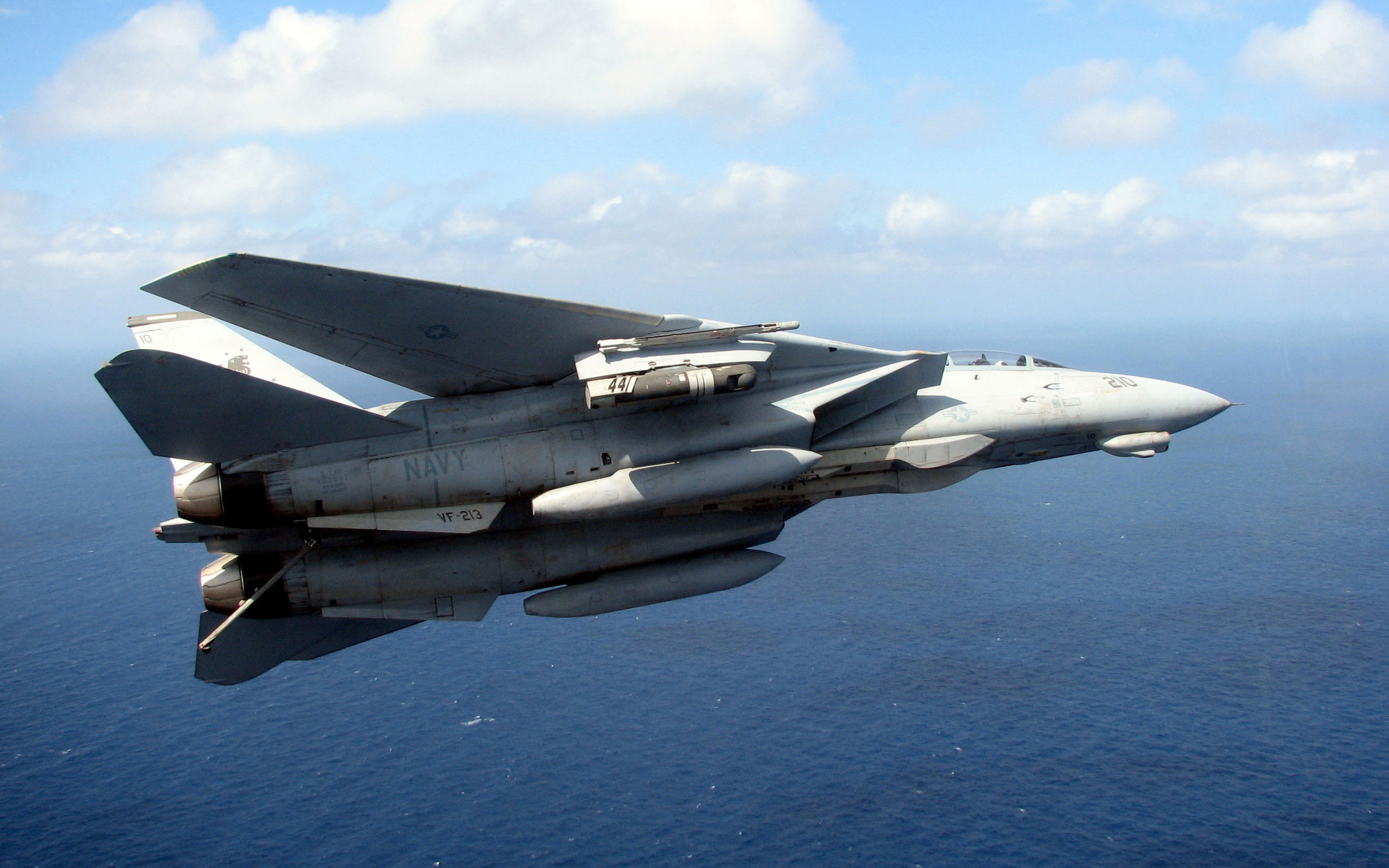 Aviation_Grumman_F-14_Tomcat_030819_.jpg