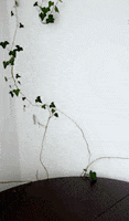 Water Glass Birthday GIF