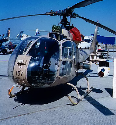 uaegazellenew.jpg