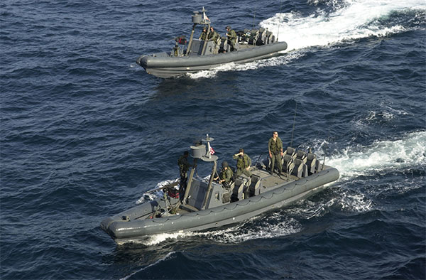 nsw-rhibs.jpg