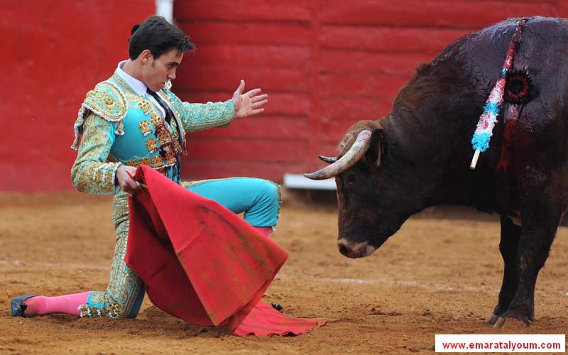 bull.epa.jpg