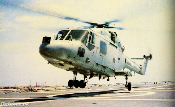 lynx_01.jpg