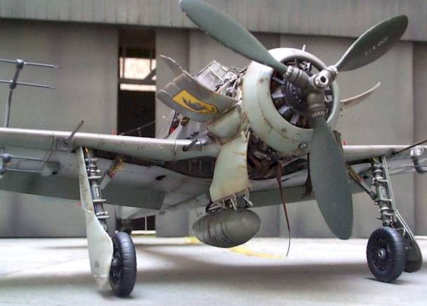 dacoba_fw190_02.jpg