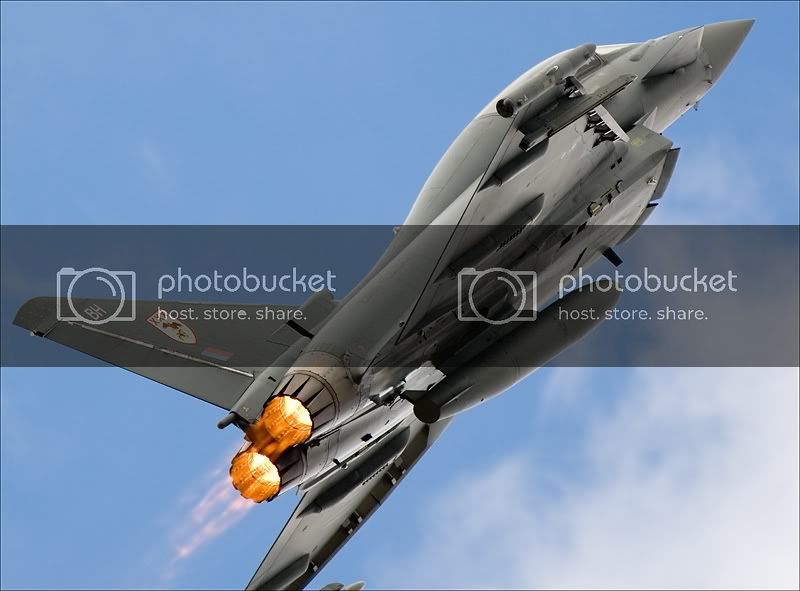 DSC_0020TYPHOON.jpg