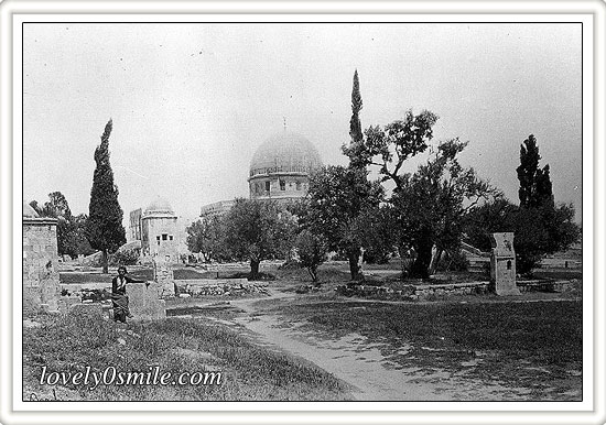 alquds-07.jpg