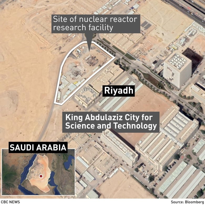 saudi-reactor-graphic.jpg