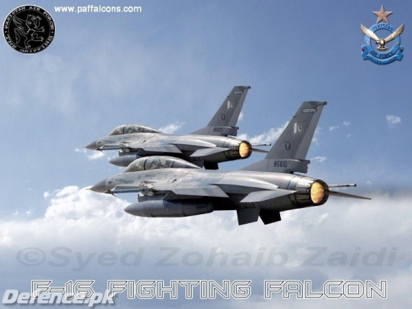 paffalcons-wallpapers153.jpg