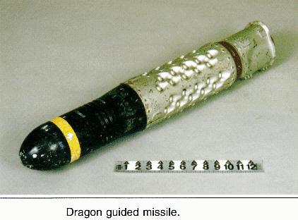 dragon-21.jpg