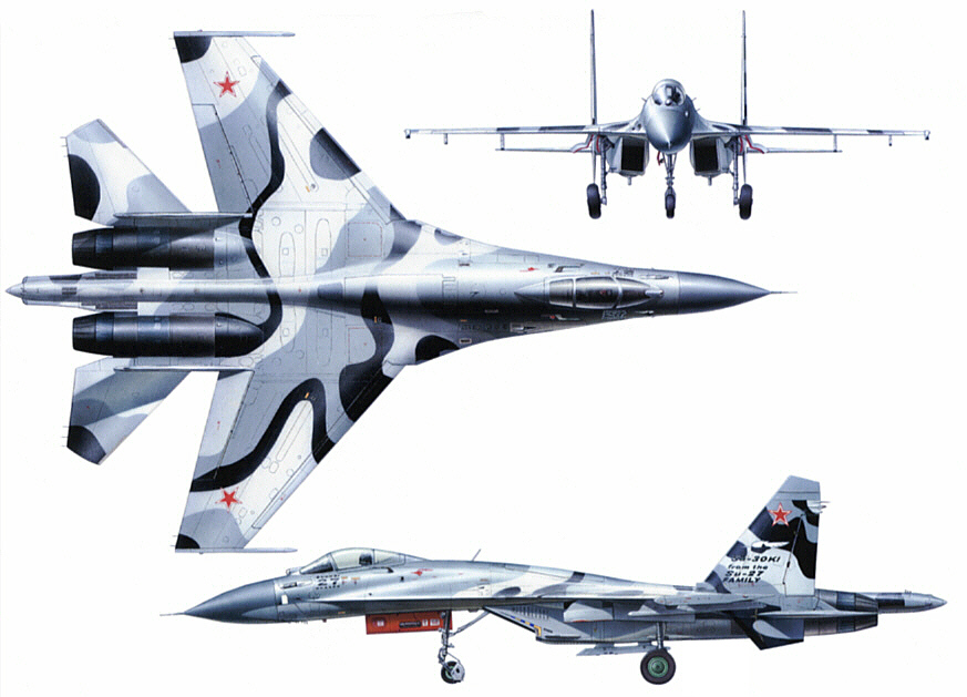 Su-30KI_04.jpg