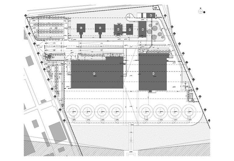stabilimento-leonardo-algeria-3-768x528.jpg