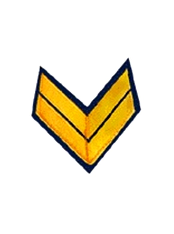 Lebanese-army-insignia-Sergeant.jpg