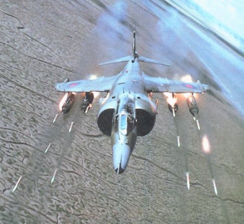 harrier_2.jpg