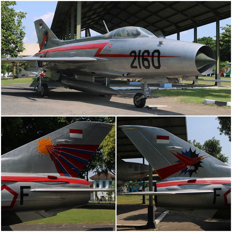 tni-au-mig-21f-13-900-1.jpg