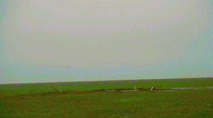 p_109h6rj1.gif