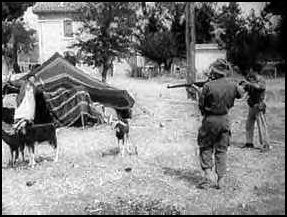 guelma-setif-massacre1.jpg