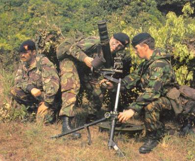 81mm01.jpg