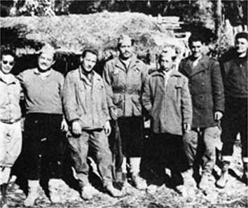 aln13.jpg