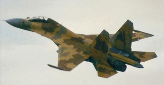 su30_14.jpg