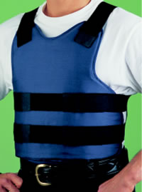 fig3.jpg