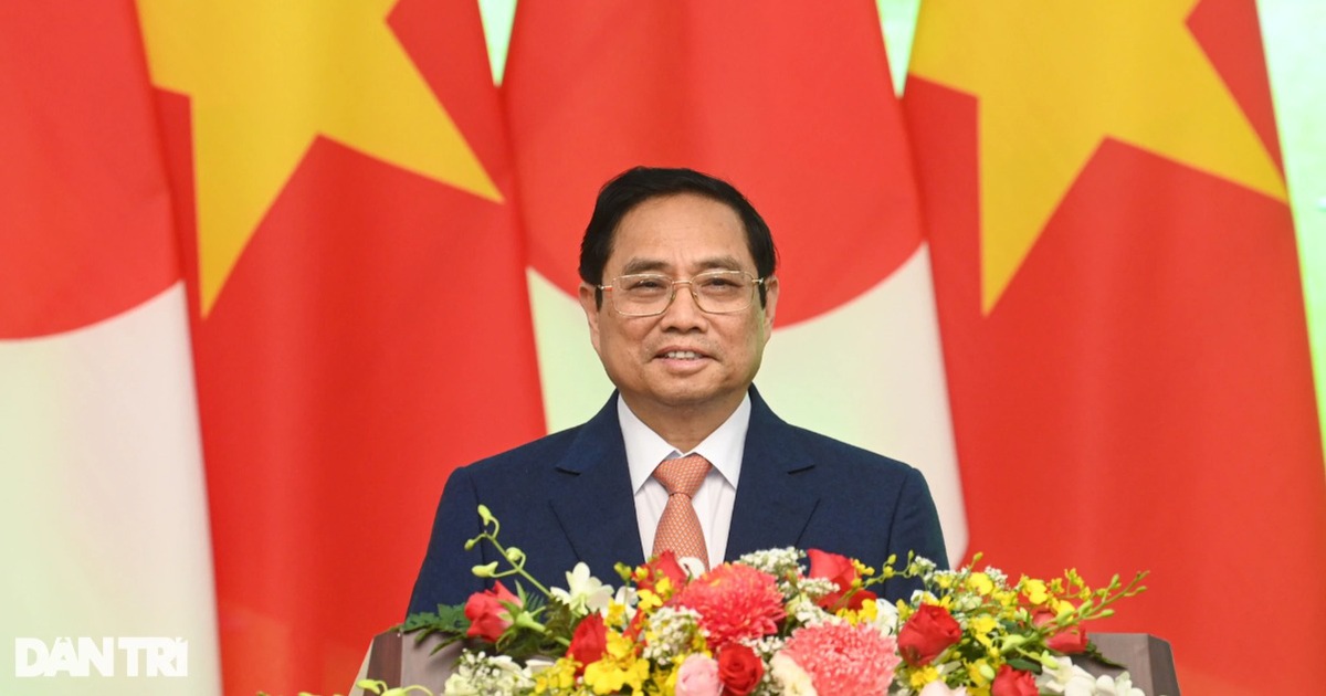 dantri.com.vn
