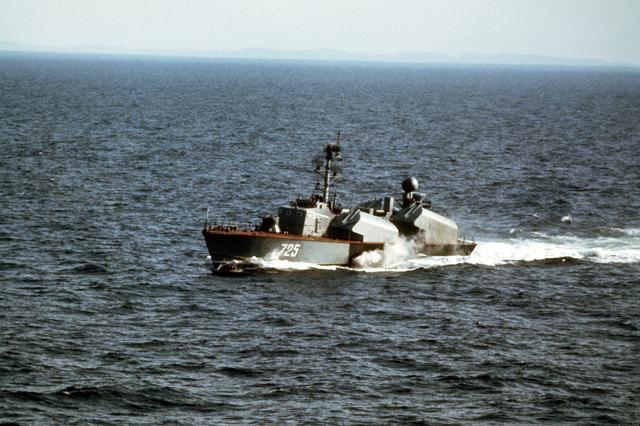 osa-DNST8401647_JPG.jpg