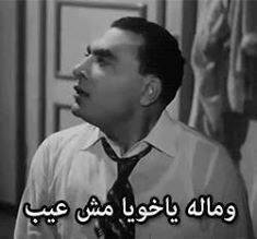 shof_837fe406cf7ce3d.jpg