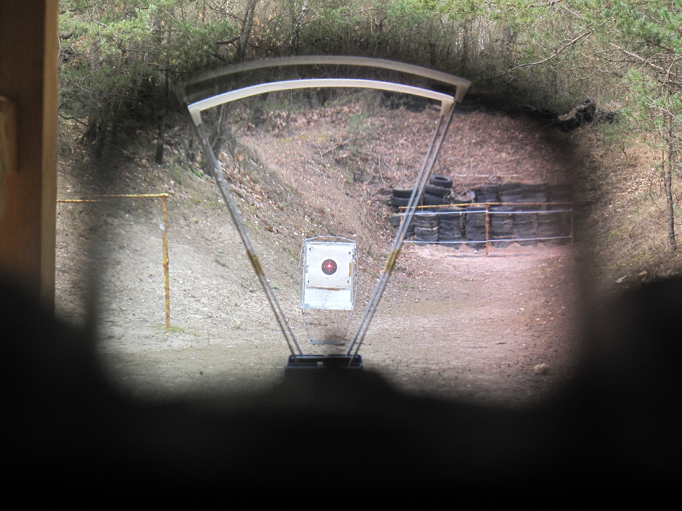 Canik-TP9-SFx-vue-du-viseur_petite.jpg