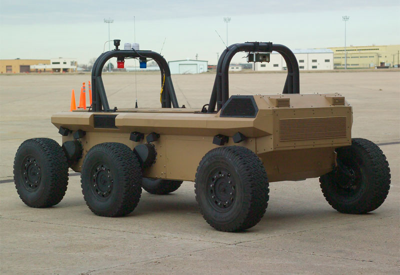 mule_10.jpg
