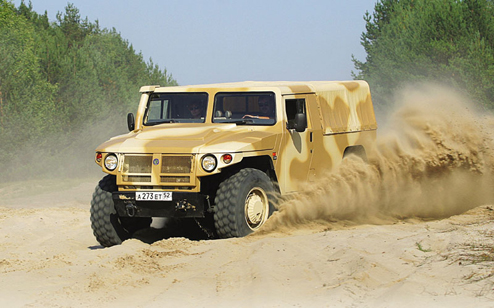 Ten-Russian-Tiger.jpg